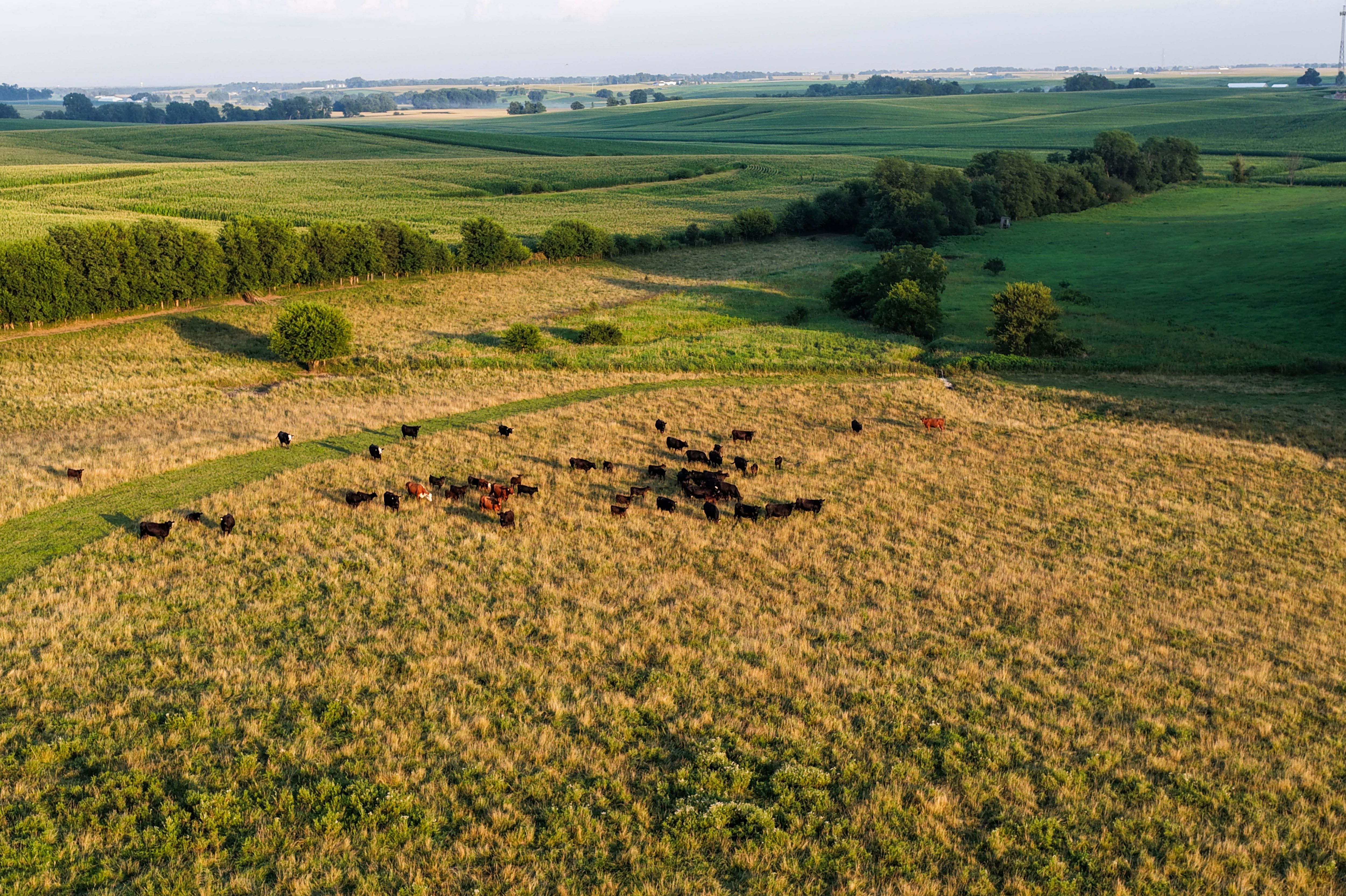 Listing Photo: Johnson County Land For Sale-18-2